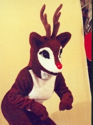 Rudolph ( Reindeer)