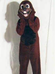 Beaver (Groundhog)