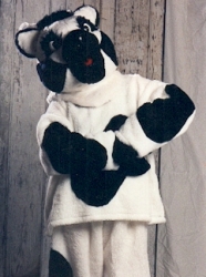 Cow ( Parade head)