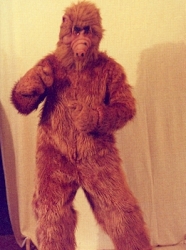 ALF