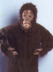 Bert the Gorilla