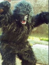 Werewolf