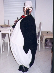 Penquin
