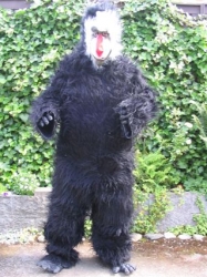 Baboon