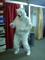 polar-bear-001