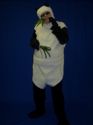 unicorn to hippo 007.JPG