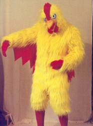 Chicken