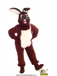 Chocolate Bunny